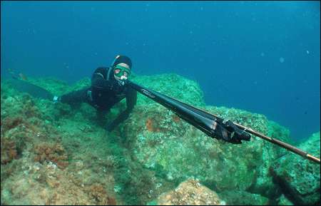 Marc Valentin 75 - Matériel de chasse sous-marine - Forum Chasse  sous-marine & Apnée